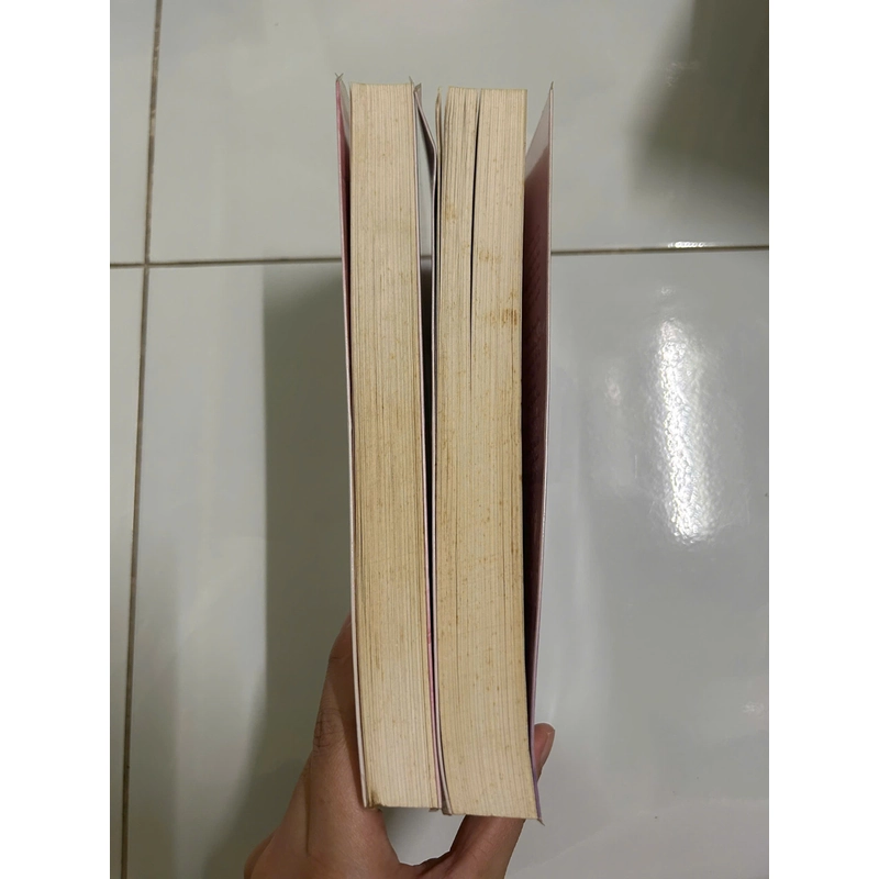 Từng Thề Ước (Trọn Bộ 2 Tập) 474305