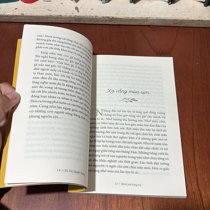 II Sách Thiếu Nhi: Bình Yên Bóng Mẹ - Vũ Thị Huyền Trang - 2018 711383