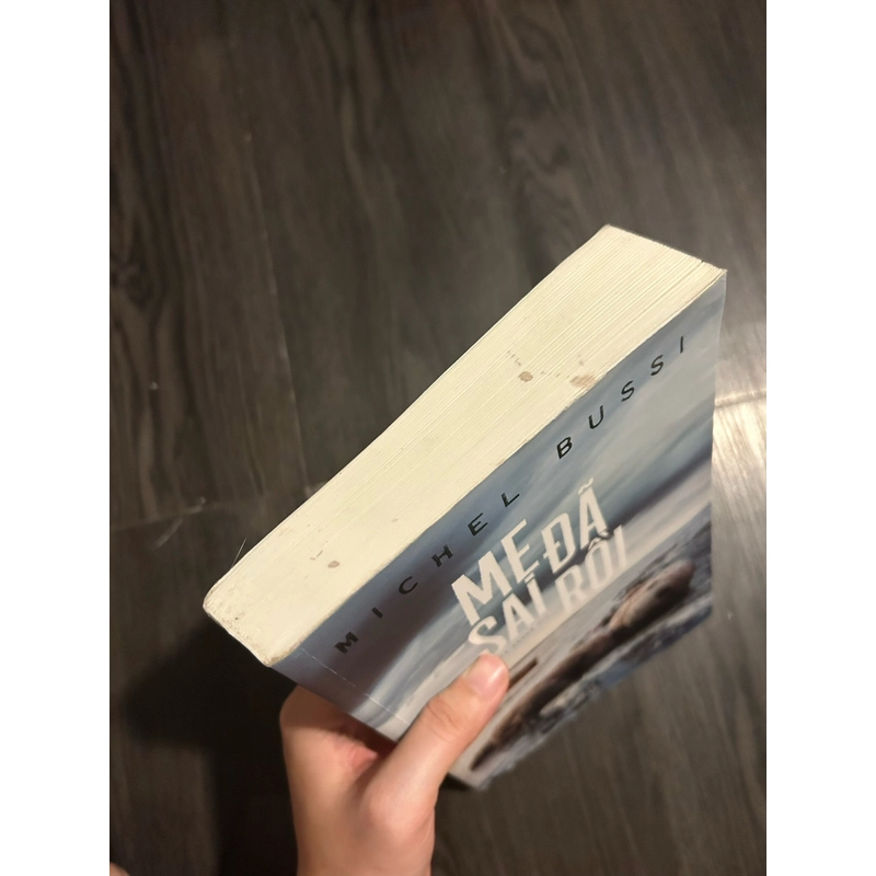 Mẹ đã sai rồi - Michel Bussi 352107