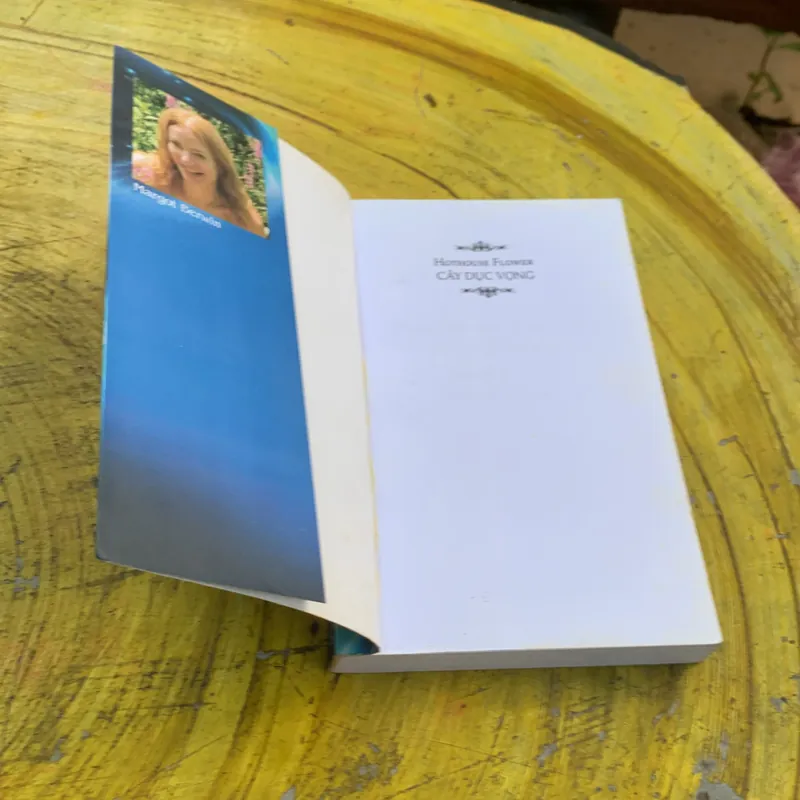 CÂY DỤC VỌNG - HOTHOUSE FLOWER 740332