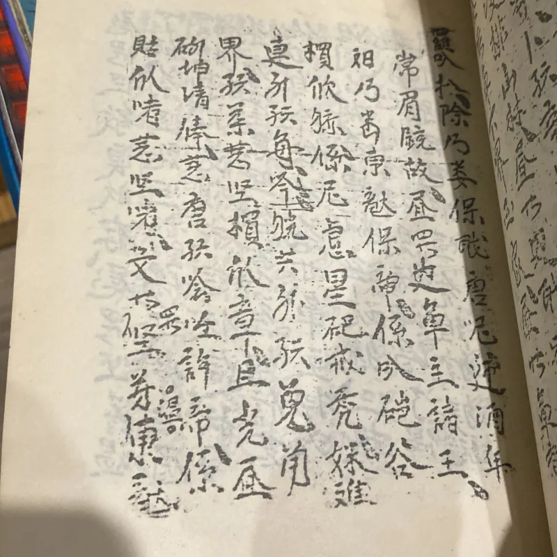 PỤT TÀY - CHANT CULTUEL DE L'ETHNIE TÀY DU VIỆT NAM, song ngữ Việt - Pháp (XB 1992) 760239