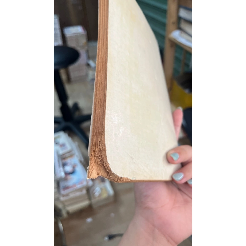 Bắc hành tùng ký - Lê Quýnh ( Hoàng Xuân Hãn dịch và giới thiệu ) 430125