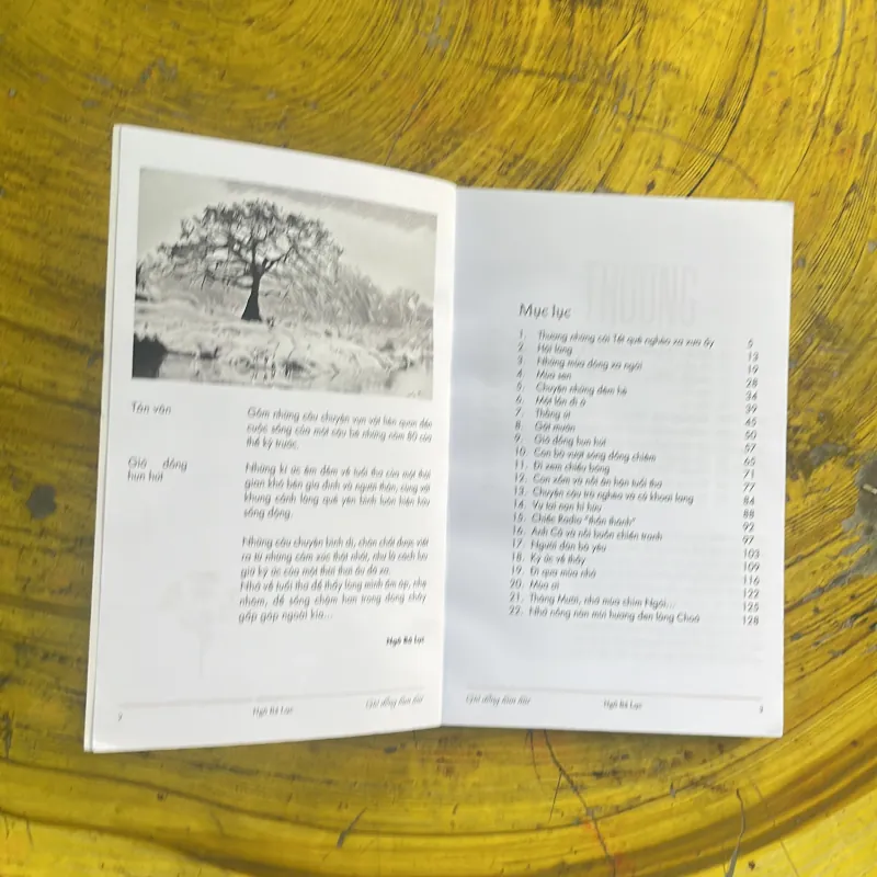 GIÓ ĐỒNG HUN HÚT - NGÔ BÁ LỤC - ký, tản văn chọn lọc 970481