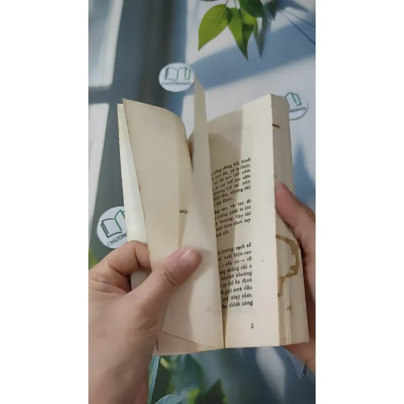 [MIỄN PHÍ BỌC SÁCH] [XƯA] Mê Lộ (1989) - Phạm Thị Hoài 997663