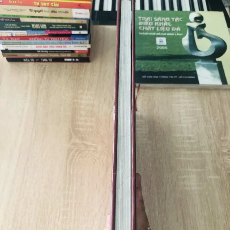 📸 SỨC SỐNG VIỆT NAM 2  1020497