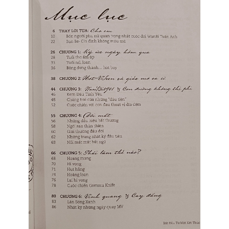 Tự truyện Wanbi Tuấn Anh: Bắt đầu từ một kết thúc - Nhà báo Lý Minh Tùng 755820