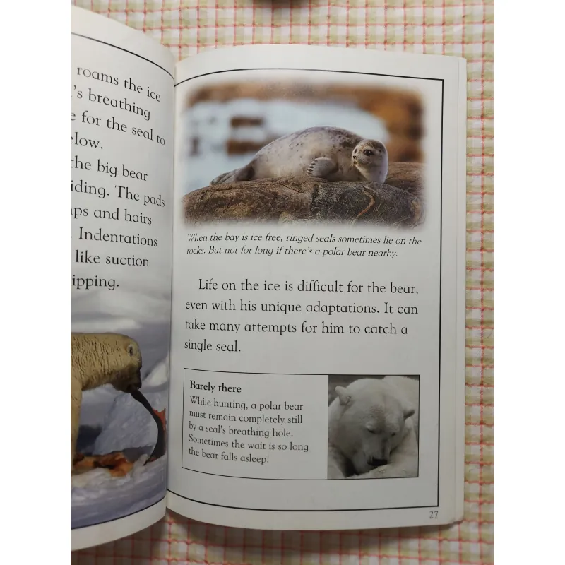 COMBO 3Q DK READERS - Extreme Sports & Polar Bear Alert & Days of the Knights • Level 3, 4 751324