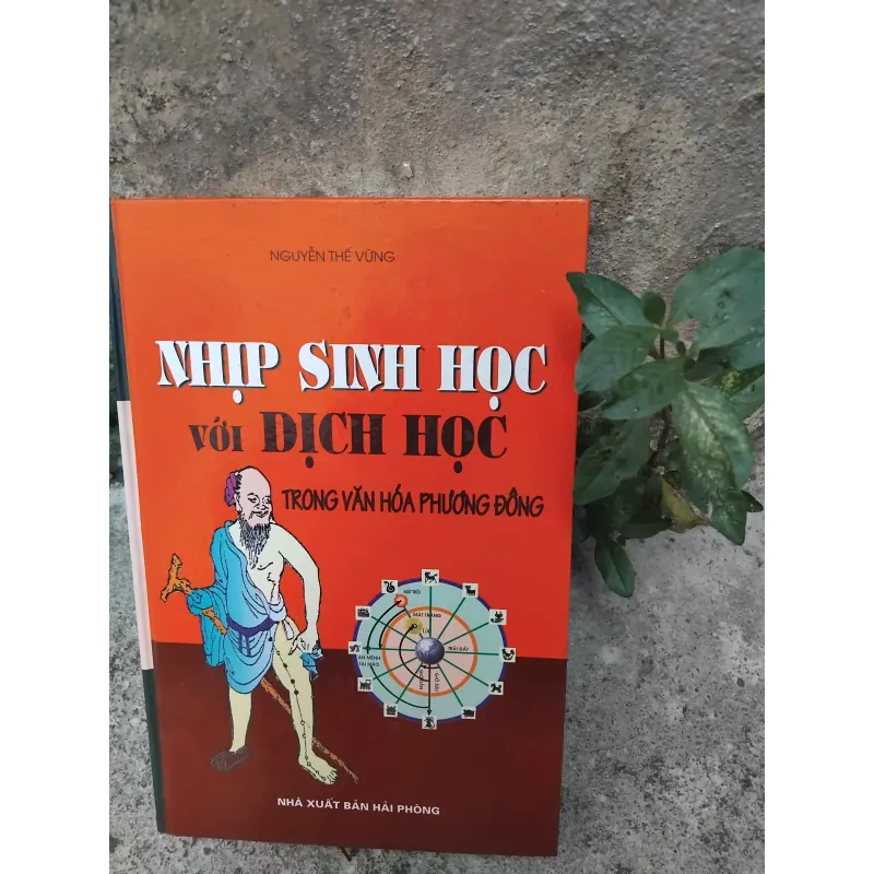 Nhịp sinh học với Dịch học trong văn hóa phương Đông  1022856