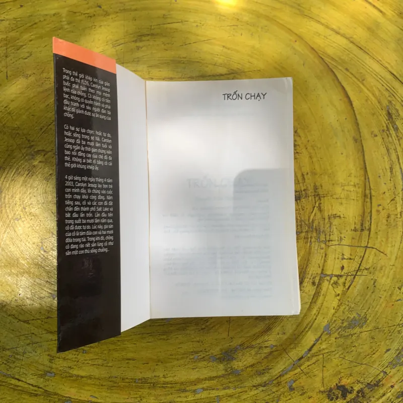 TRỐN CHẠY - CAROLYN JESSOP & LAURA PALMER 1022392