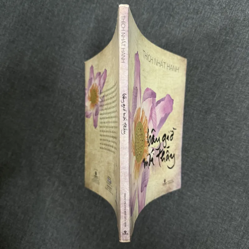 Bây giờ mới thấy - Thích Nhất Hạnh 1010172