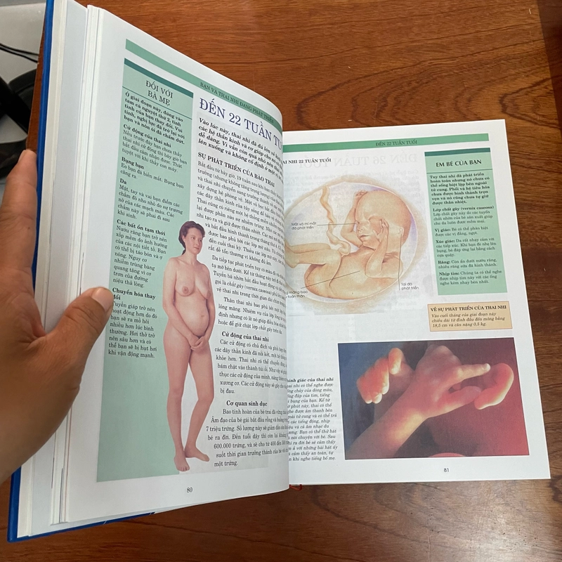 II Sách DK: Cẩm Nang Mang Thai Và Sinh Con - Dr. Miriam Stoppard - 2014 475667