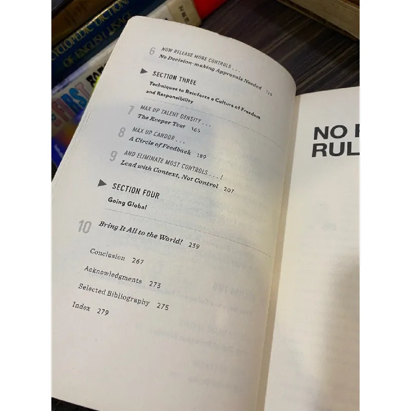 No rules rules: Netflix and the Culture of Reinvention - Reed Hastings, Erin Meyer 571334