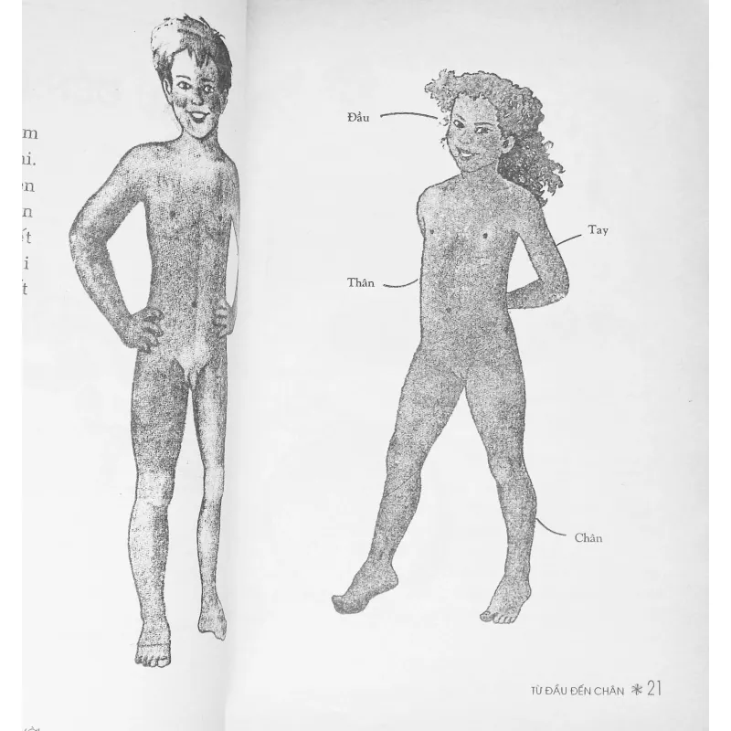 Con người - Sinh vật tuyệt vời 562128