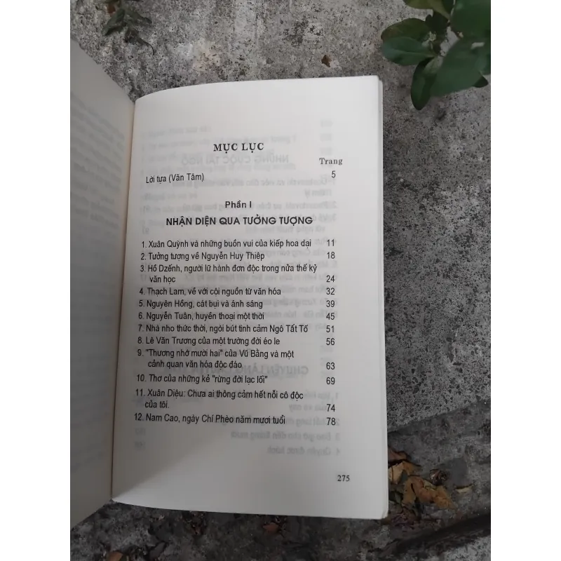 Những kiếp hoa dại của Vương Trí Nhàn  1026224