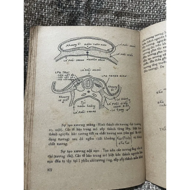 TRƯỜNG ĐẠI HỌC Y DƯỢC TP. HỘ CHÍ MNH - GIẢI PHẨU BỆNH HỌC - 500 trang  1007036