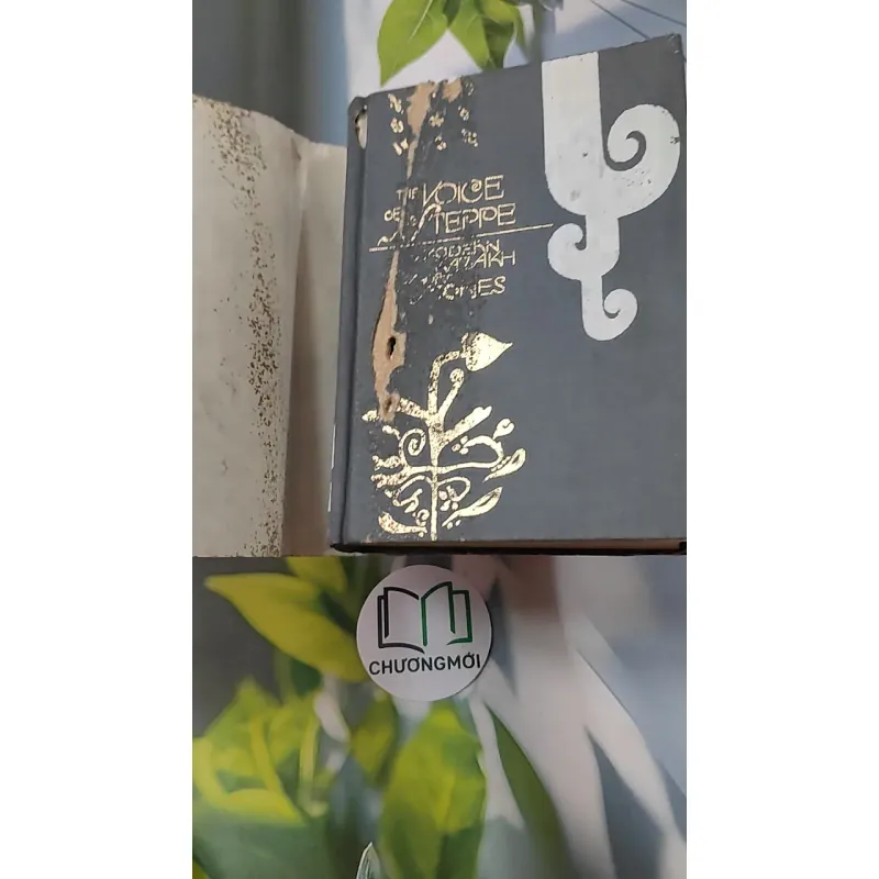 [MIỄN PHÍ BỌC SÁCH] Mordern Kazakh Stories: The Voice Of The Steppe - Isaak Kramov 749409