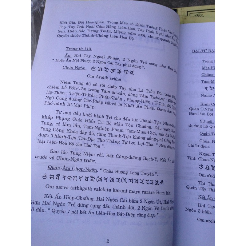 Đại Tạng Nguyên Bản (Kinh Mật Tông) – Nhị Tổ Kim Cang Sư (10 Quyển)

 93175