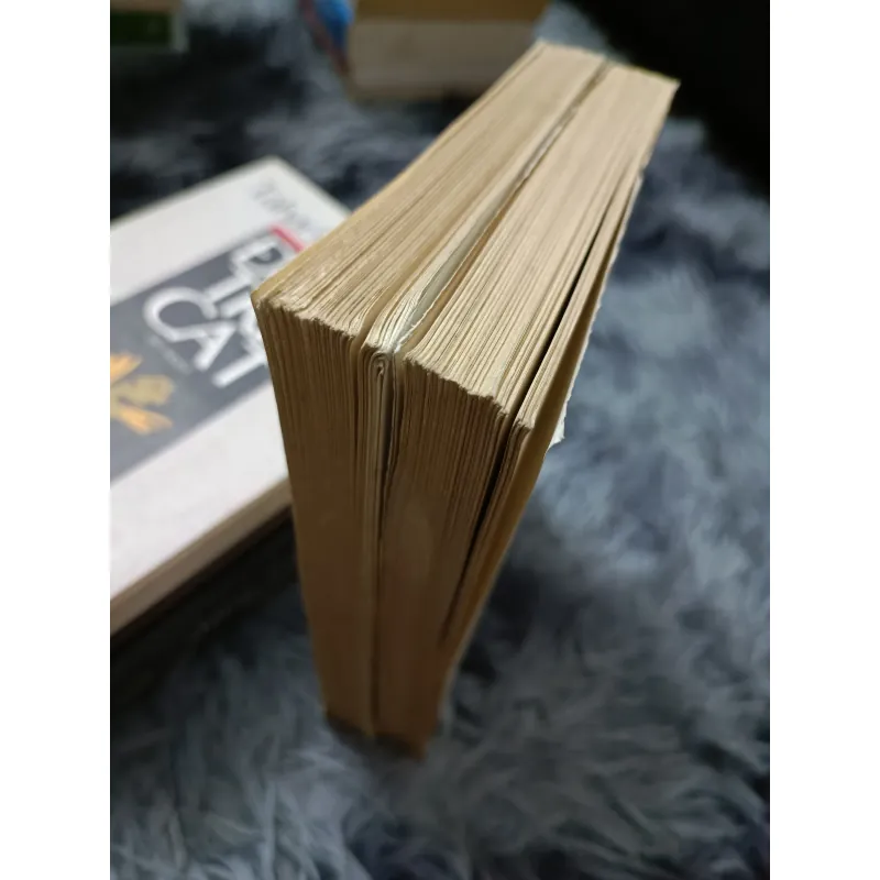 Đi tìm thời gian đã mất (Proust) 934466