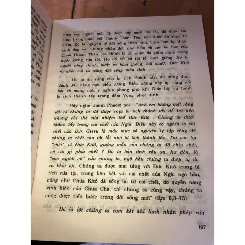 Đức Kyto suối mạch tình thương  957986