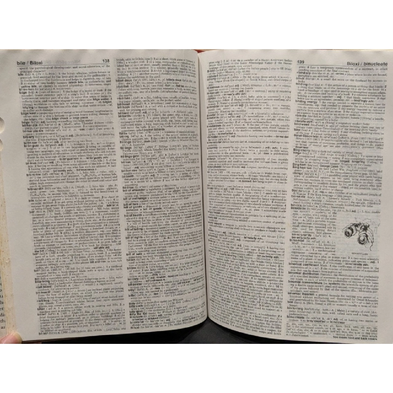 Webster's New World College Dictionary 1008365