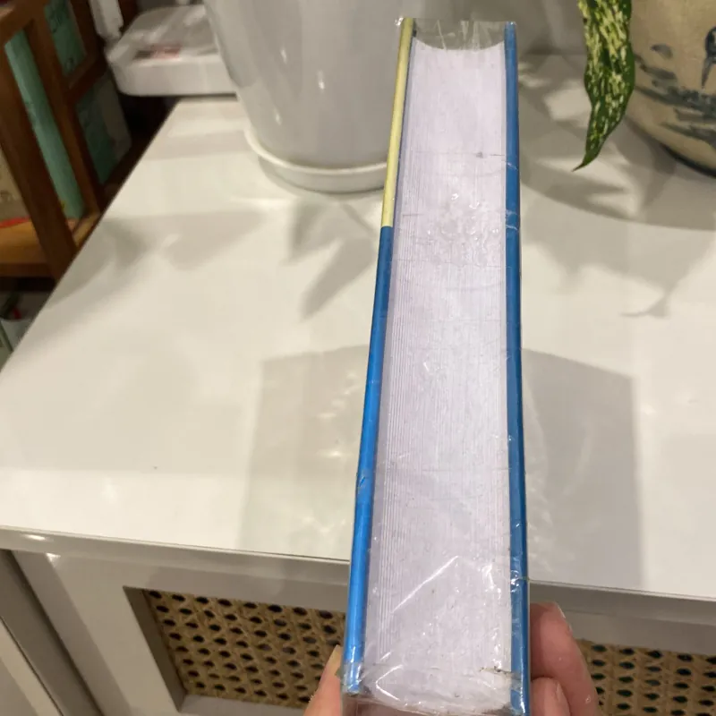 TƯ LIỆU CÁC CÔNG TY ĐÔNG ÁN HÀ LAN VÀ ANH VỀ KẺ CHỢ - ĐÀNG NGOÀI THẾ KỶ XVII 1000854