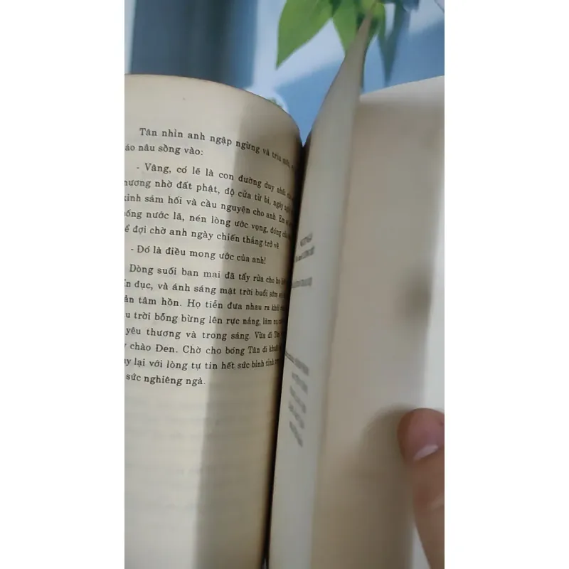 [XƯA] Ngọt Ngào (1993) - Lương Hiền 798510