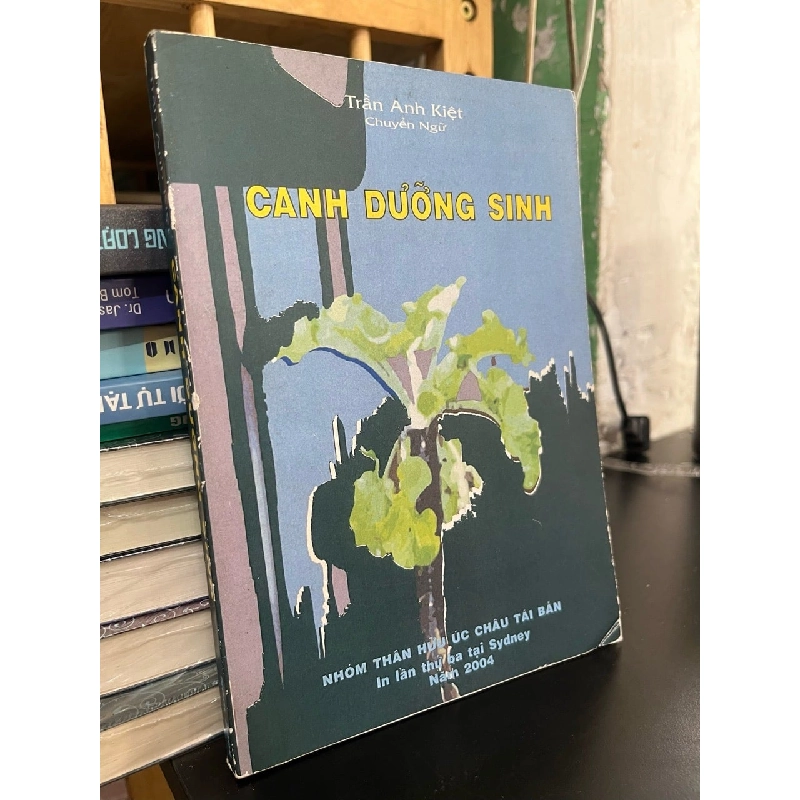 Canh dưỡng sinh - Trần Anh Kiệt 936488