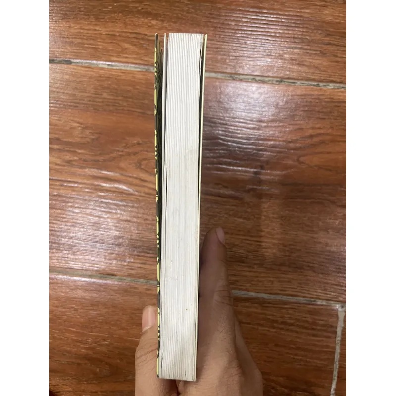 Những chàng trai nhỏ – Louisa May Alcott (7) 596433