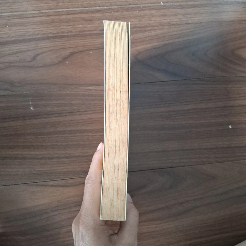 Nhắm mắt thấy paris 517241