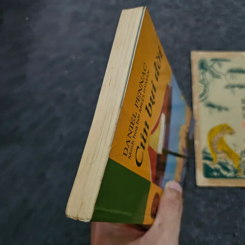 Cún bụi đời 734635