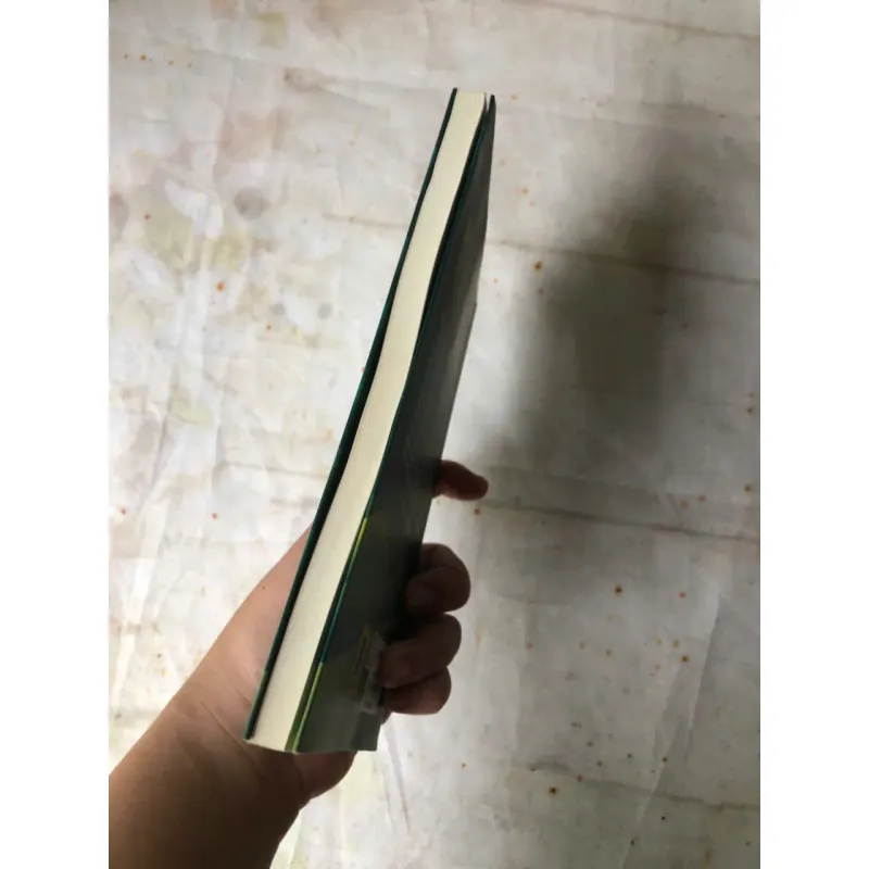 Gió Đông Rưng Rức - Hoàng Lệ Thủy 800987