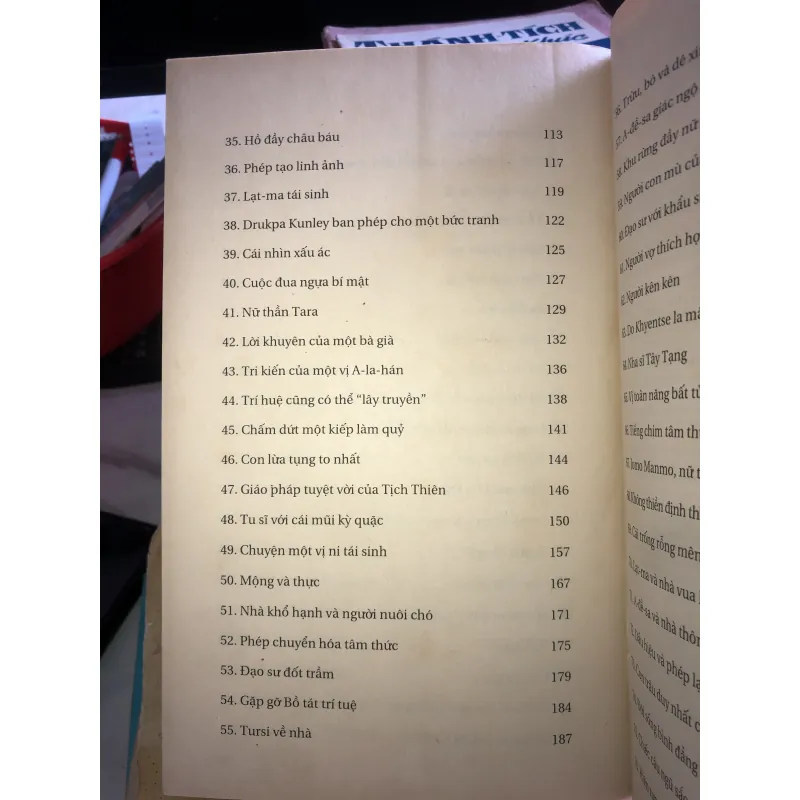 Sư tử tuyết bờm xanh - Surya Das 1021747