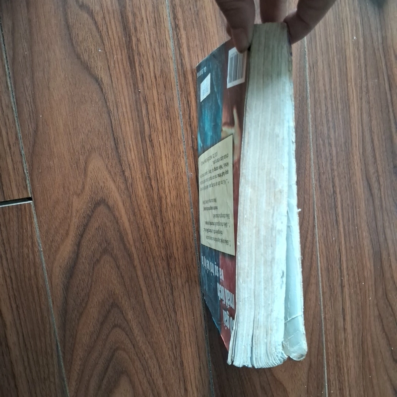 Cô gái mất tích và sự trở về kì lạ 524994
