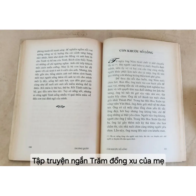Truyện ngắn: TRĂM ĐỒNG XU CỦA MẸ - Tác giả: Trương Quân 706280