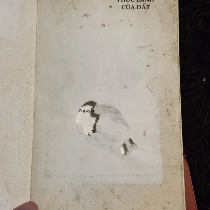 Combo 2 tác phẩm Knut Hamsun 1003980