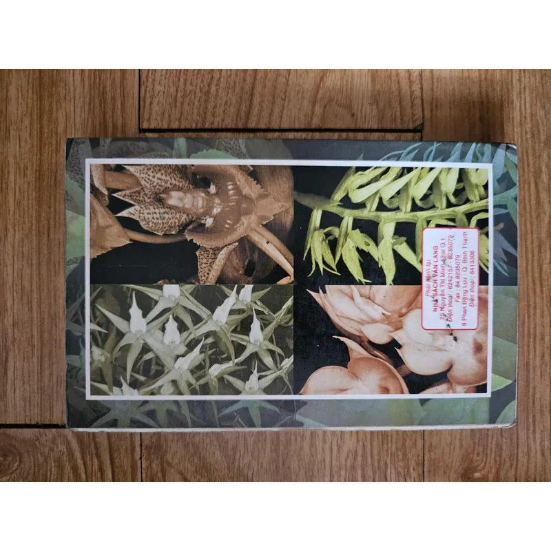 Kỹ thuật nuôi trồng cấy lan
 701584