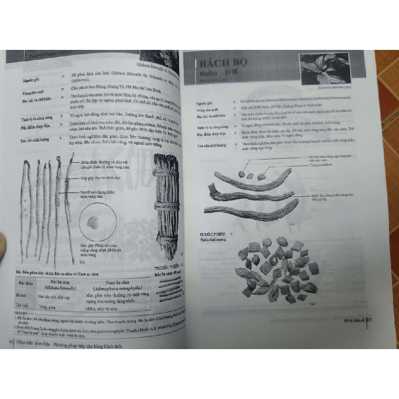 Remake Nhận diện được liệu - 547 trang (Sách Y học - Sức khỏe - Thể thao) ANTQ1304 1012654