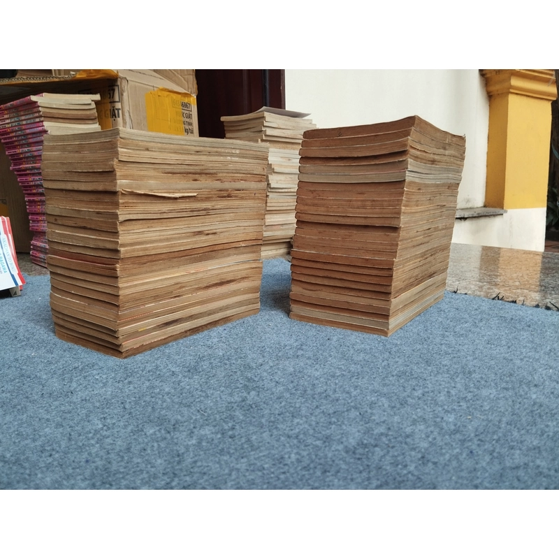 HỘI MẮT NAI (CHỊ EM GÁI PHẦN 2) 504862