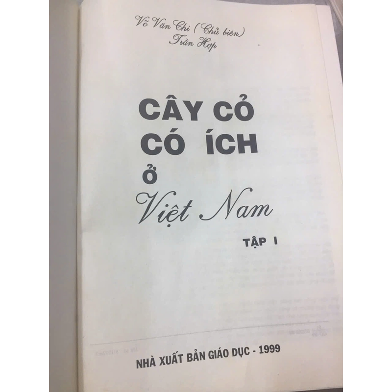 CÂY CỎ CÓ ÍCH Ở VIỆT NAM 528968