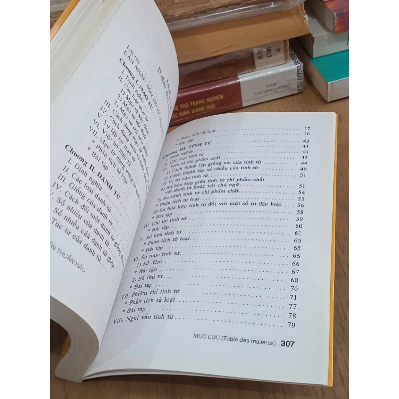 Chủ điểm văn phạm tiếng Pháp - André Nguyễn Thuần Hậu 758827