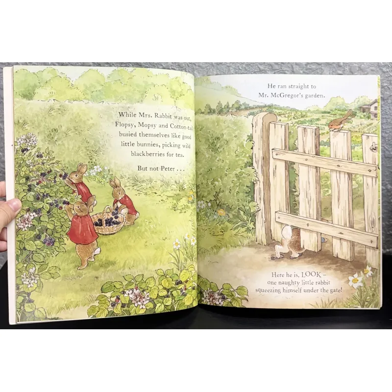 The Tale of a Naughty Little Rabbit 994861