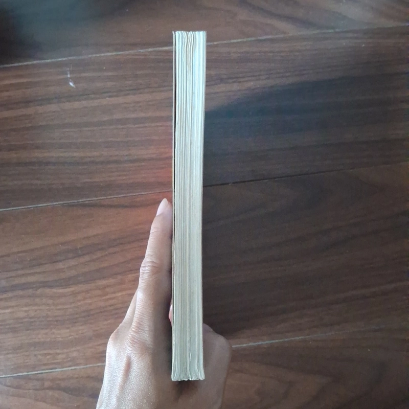 Khi con bạc cháy túi 524617