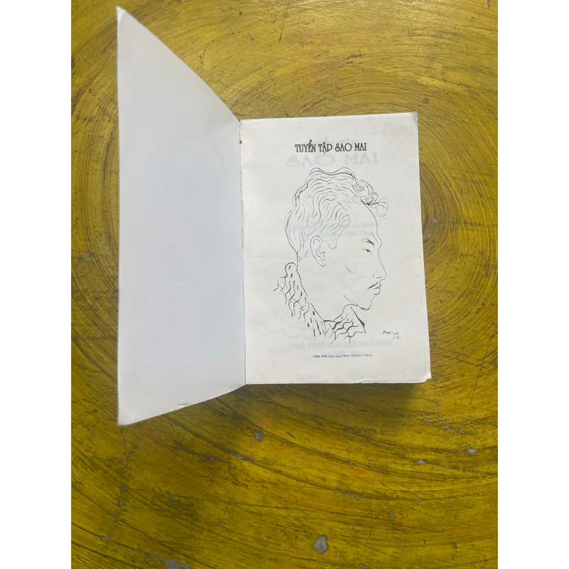 TUYỂN TẬP SAO MAI 544894