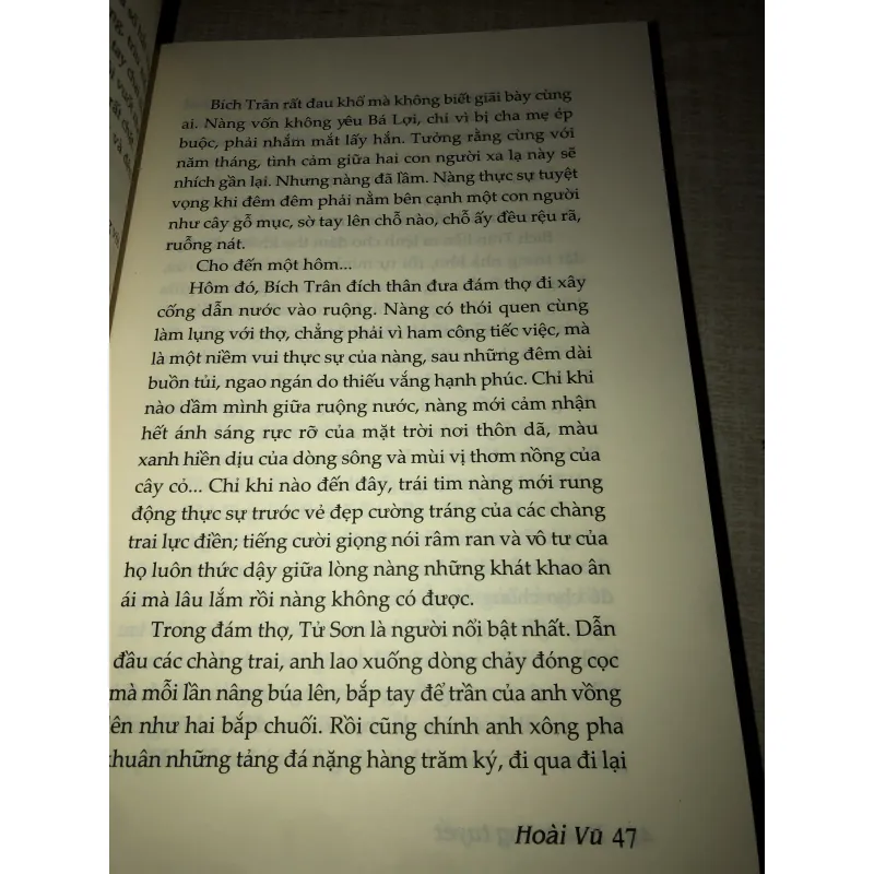 Hoa trong tuyết 994835