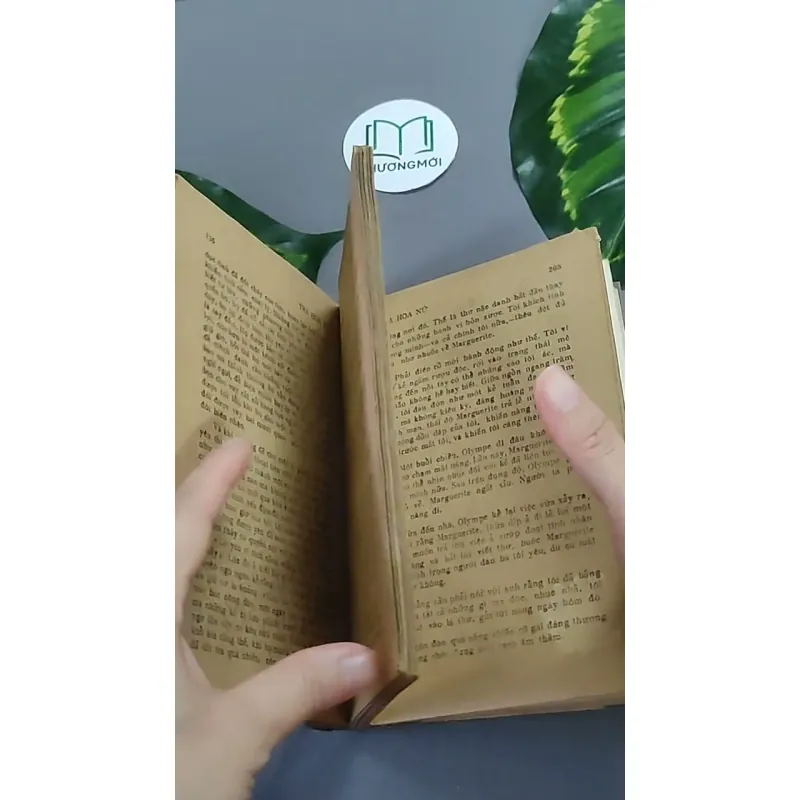 Trà Hoa Nữ 604659