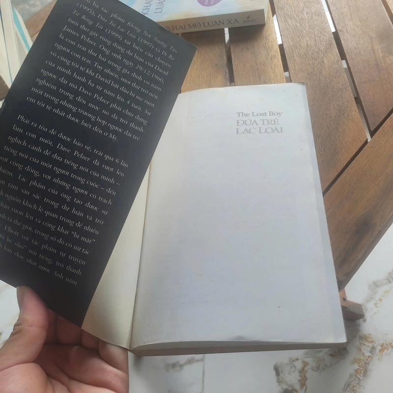 Đứa trẻ lạc loài	Dave Pelzer 519951