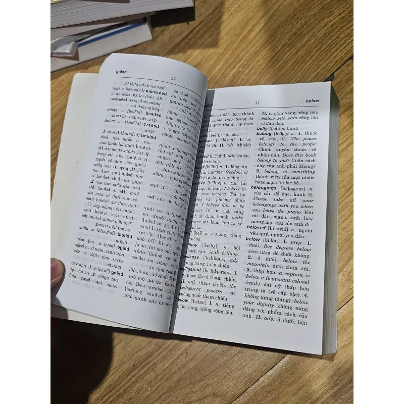 Từ điển Anh - Việt 
 757529