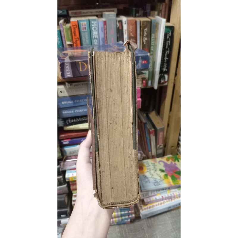 Winston S. Churchill (Volume I) - Randolph S. Churchill 451983