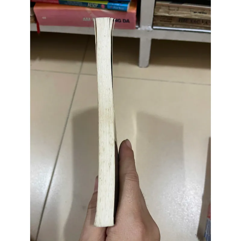 Lược sử thời gian, mới 80% (Chien) 693342