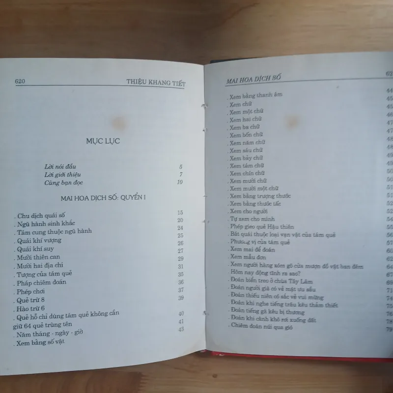 Mai Hoa Dịch Số - Thiệu Khang Tiết 1005355